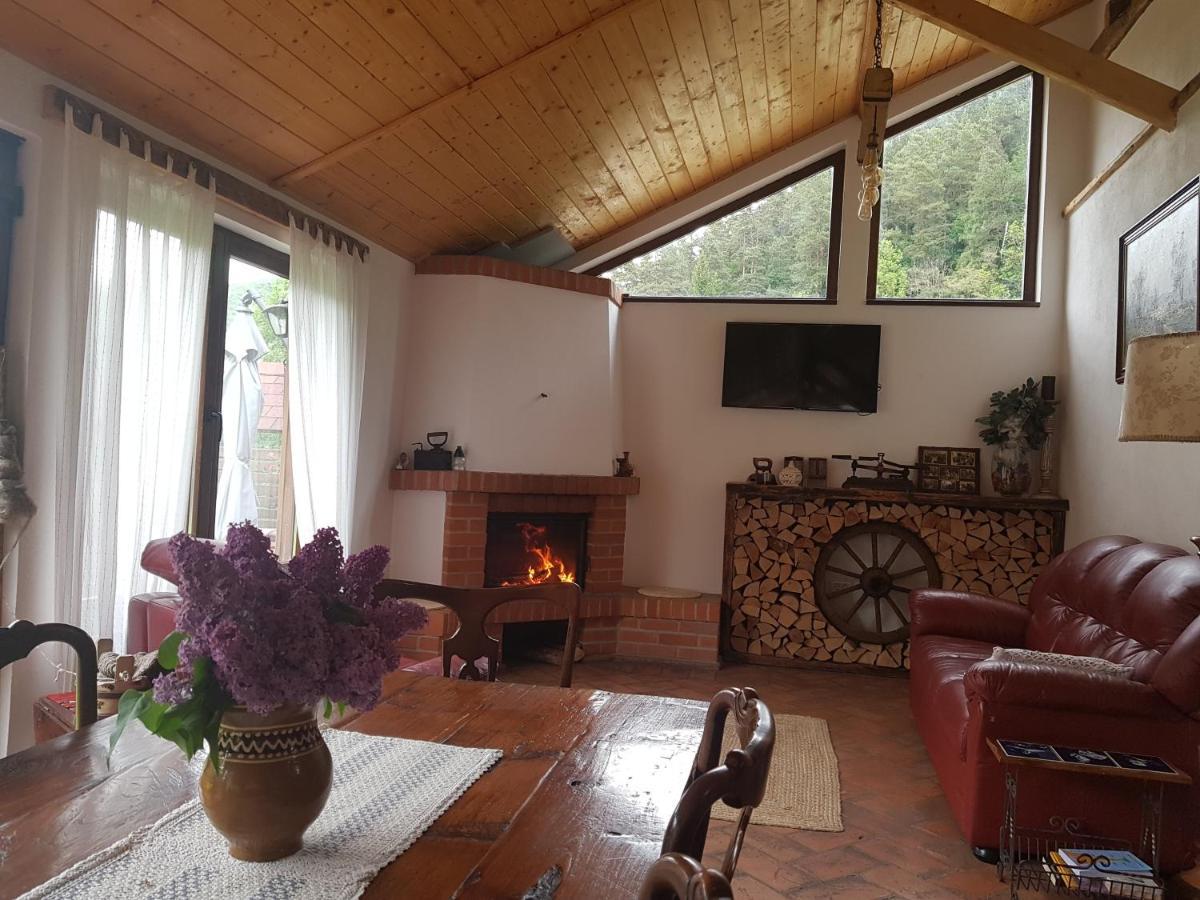 Sura Lu' Vasile. Bed and Breakfast Crivina  Eksteriør billede