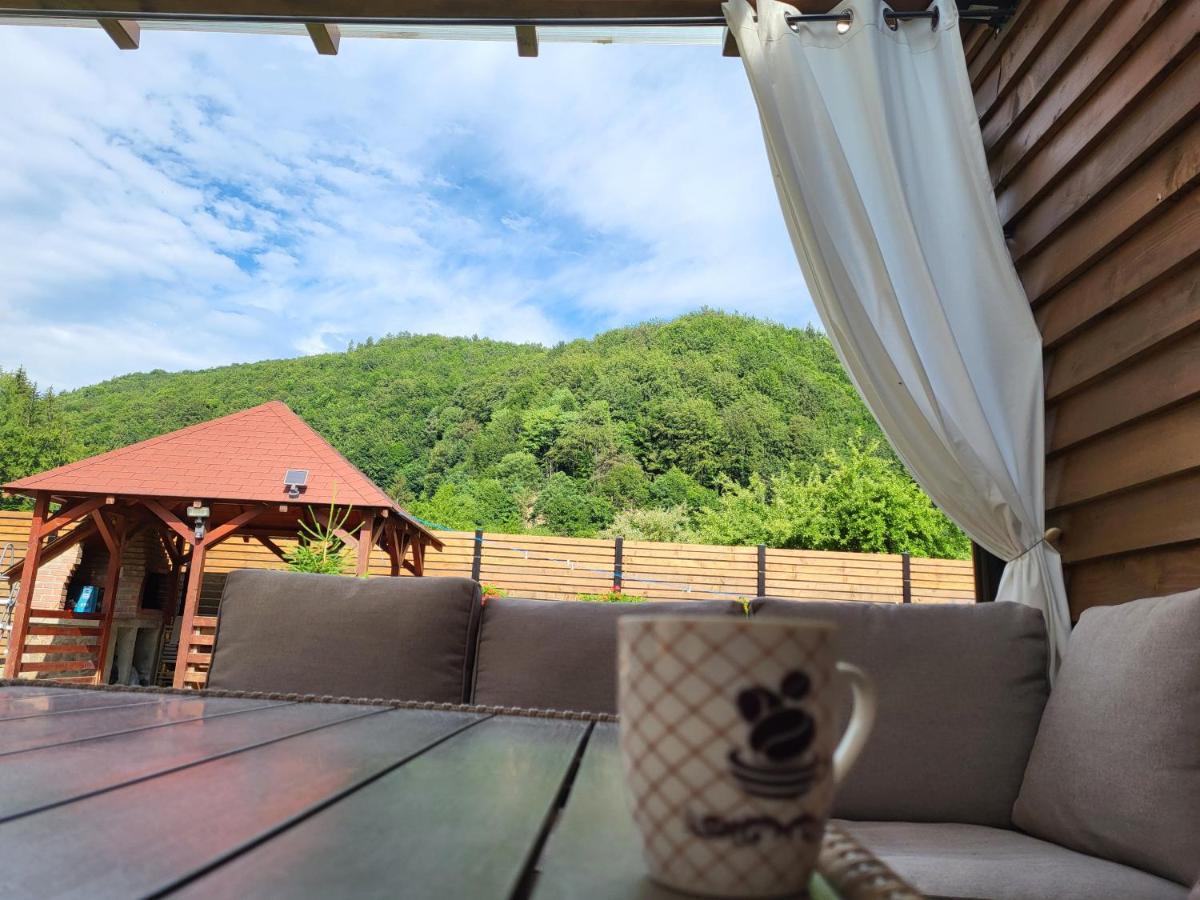 Sura Lu' Vasile. Bed and Breakfast Crivina  Eksteriør billede