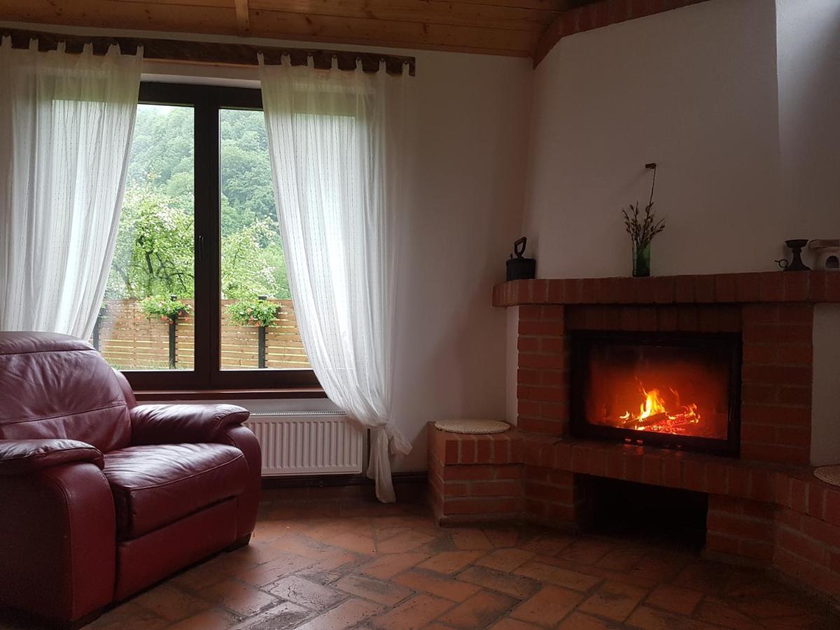 Sura Lu' Vasile. Bed and Breakfast Crivina  Eksteriør billede